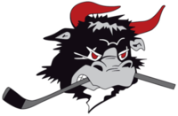Rodovre Mighty Bulls